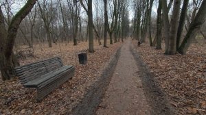 демонстрация зоом