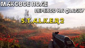 Росту из кепки в матёрого в Stalker 2 - Прохождение 5 часть