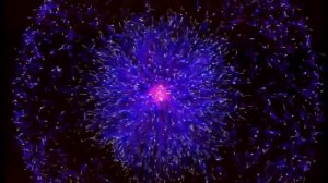 Разбогатей или умри пытаясь,50 Cent