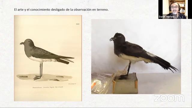 Charlas ROC: Conocer a través del arte смотреть онлайн