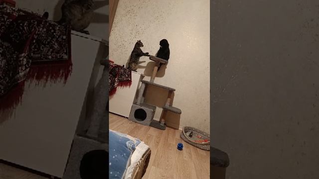 Разборки смотреть онлайн