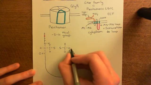 The Glycine Receptors Part 4 смотреть онлайн
