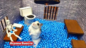 ХОМЯК ПОПАЛ В ТЮРЬМУ ДЛЯ ГЕНИАЛЬНЫХ ЖИВОТНЫХ 🐹 Играем ВМЕСТЕ ! Помогаем выбраться из лабиринта !