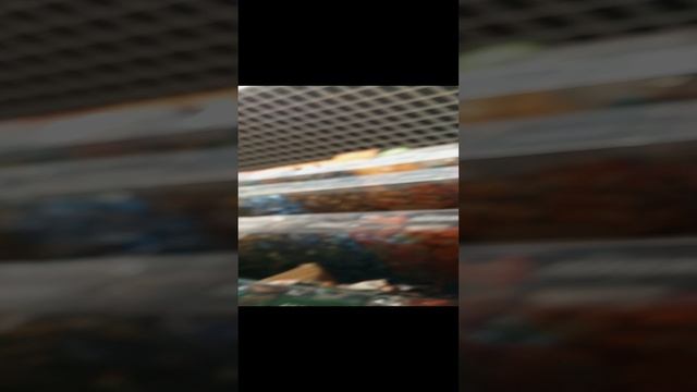 Магазин 2 часть 🛍️ смотреть онлайн