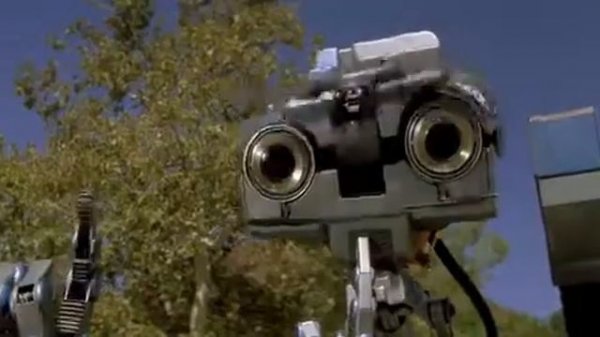 Позабыты хлопоты