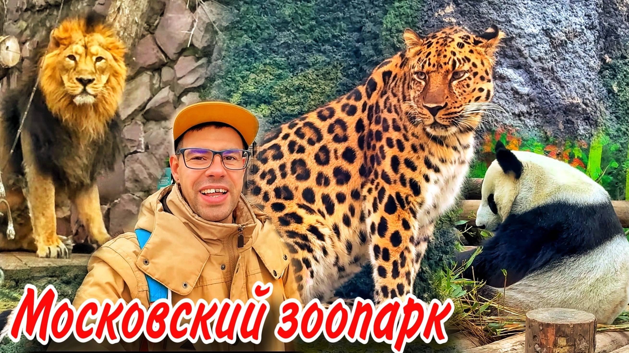 ЧТО ПРОИСХОДИТ в Московском зоопарке? Цены, животные, обзор. РАЗВЛЕЧЕНИЯ в Москве, куда сходить 2024 смотреть онлайн