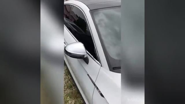 Автомобили из Америки. 2019 AUDI S5