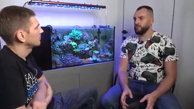 Виктор Трубицин про цианобактерии смотреть онлайн