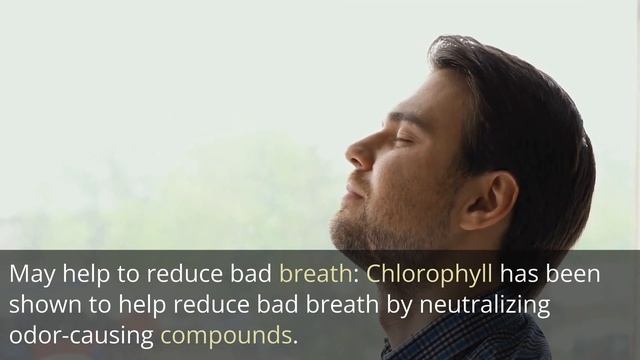 Unleash the Power of Chlorophyll: Nature's Secret to Health and Vitality! смотреть онлайн
