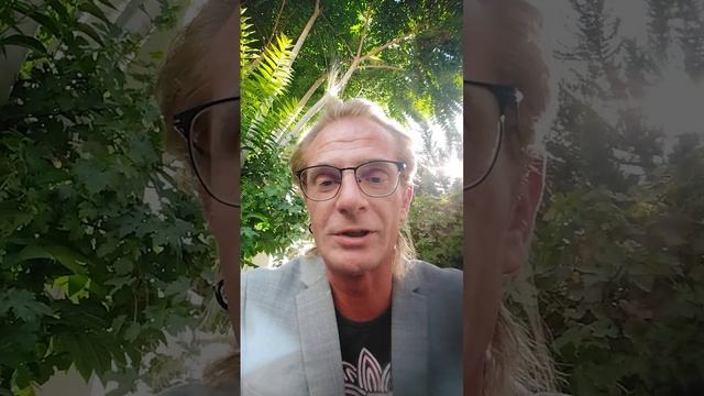 VID 20240813 154311 смотреть онлайн