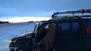 Охота на гуся весной 2024 в Ленинградской области