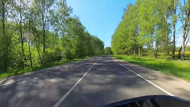 Дорога сквозь лес смотреть онлайн