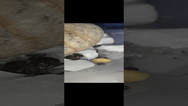 Первые потери смотреть онлайн