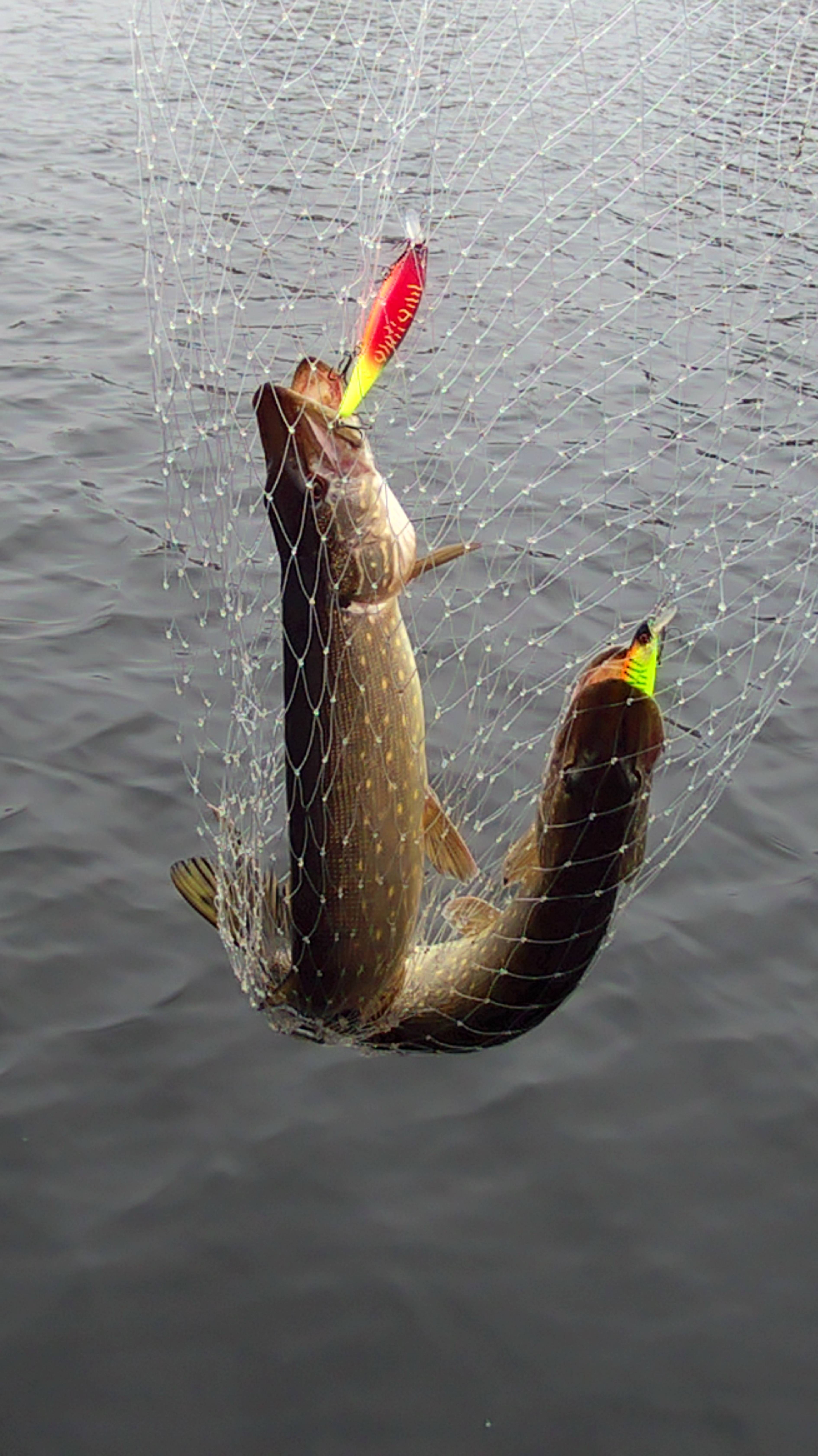 Теплый ноябрь (1)