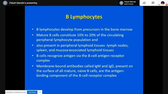 Pursue 21 A (Uploaded): - Immunity & Hypersensitivity reactions I & II смотреть онлайн