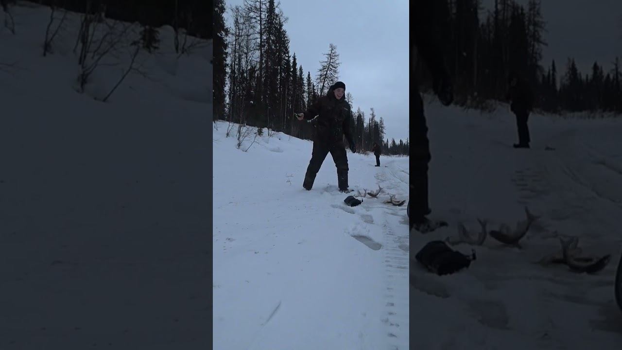 Клондайк хариуса смотреть онлайн