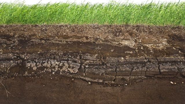 Soils Are NOT Depleted of Nutrients...WHAT? смотреть онлайн