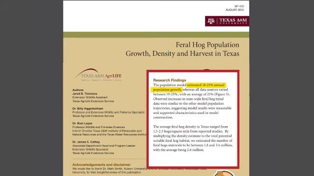 What's Up with 30-50 Feral Hogs, explained смотреть онлайн