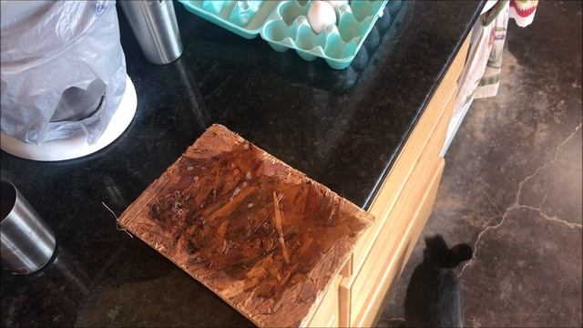 Don't throw away that Cooking Grease! смотреть онлайн