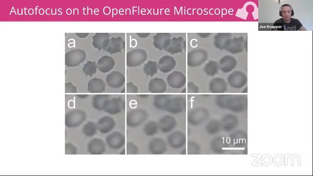 World Wide Series | Open Neuroscience - 09/07/2021 смотреть онлайн