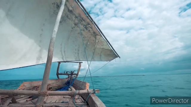 Premium Music 2022 Download Latest Music 2022