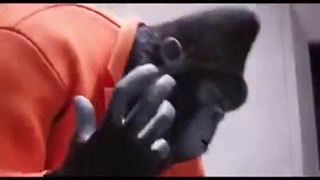 Турча кушикла смотреть онлайн