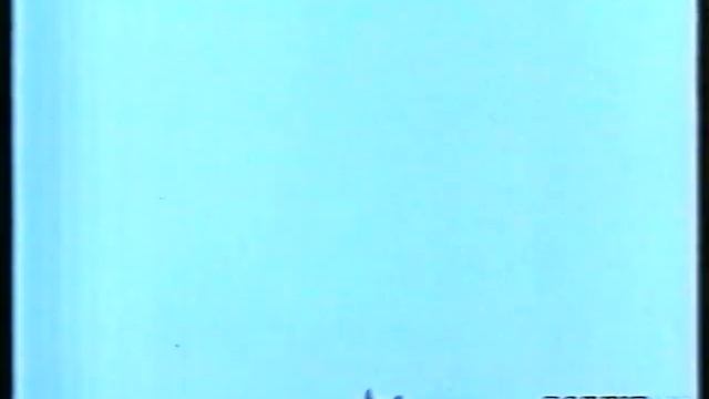 Il mondo di quark 98-99 94/143 - Shadow, il Falco Pellegrino - 23 marzo 1999 смотреть онлайн