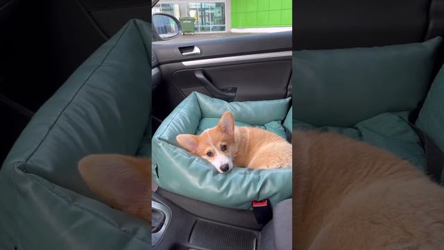 Клип Корпорация Юмора смотреть онлайн
