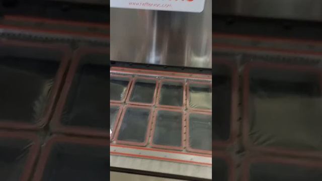 Запайщик вакуум-газ, 10 гнезд, лоток 147-109 мм смотреть онлайн