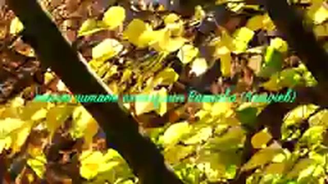 03. Исихия. иером Симон (Безкровный)_144p.mp4