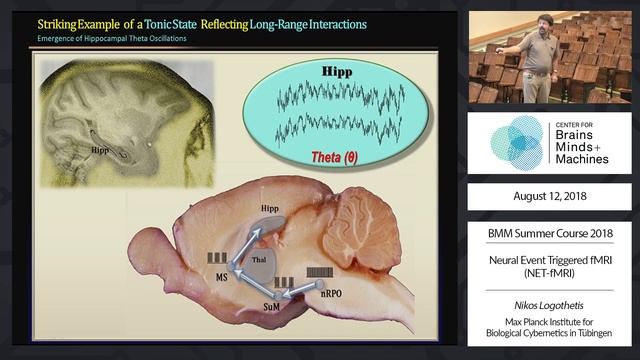 Neural Event Triggered fMRI (NET-fMRI) смотреть онлайн