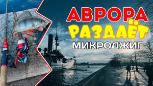 Отличный КЛЁВ и ДУШЕВНЫЙ Стритфишинг на НЕВЕ! #микроджиг #стритфишинг #дропшот #фририг #рыбалка