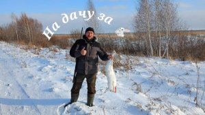Открытие охоты на зайца/тропление зайца беляка #охотаназайца#заяцбеляк