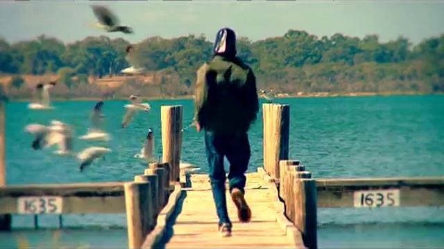 SplurgenShitter _ Pogo