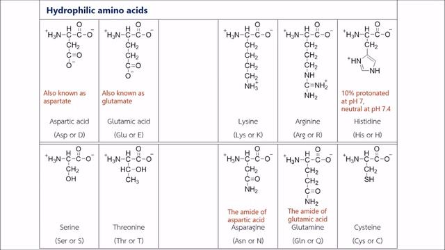 protein clip 2_amino acids смотреть онлайн