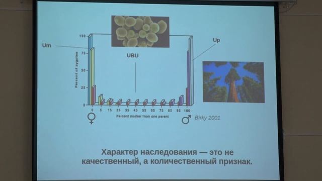 Кнорре Д. А. - Структура и функция митохондрий - 5. Закономерности наследования митохондриальной ДНК смотреть онлайн