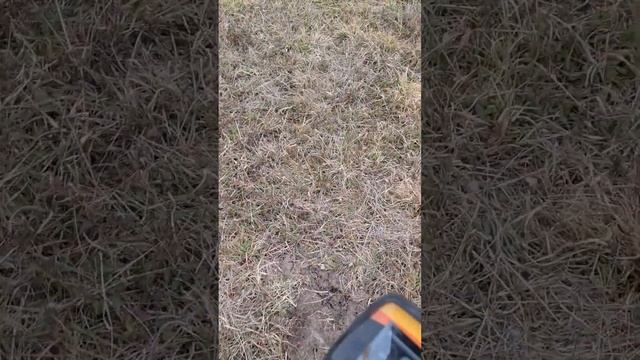 Quest V80 Metal Detector Field Trials. Live Digs. Issues