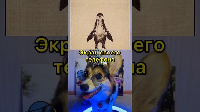 СМЕШНЫЕ ЖИВОТНЫЕ | ЭТА КАРТИНКА НЕ ТО, ЧЕМ КАЖЕТСЯ смотреть онлайн