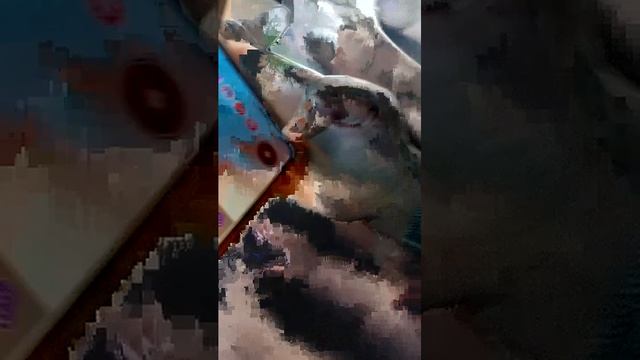 я на занятиях