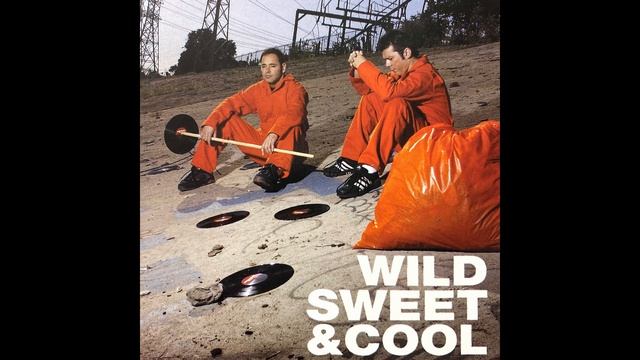The Crystal Method - Wild Sweet & Cool (Static Revenger Mix) смотреть онлайн