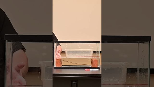 How Much Water Does a Brick Really Displace? #physics #science смотреть онлайн