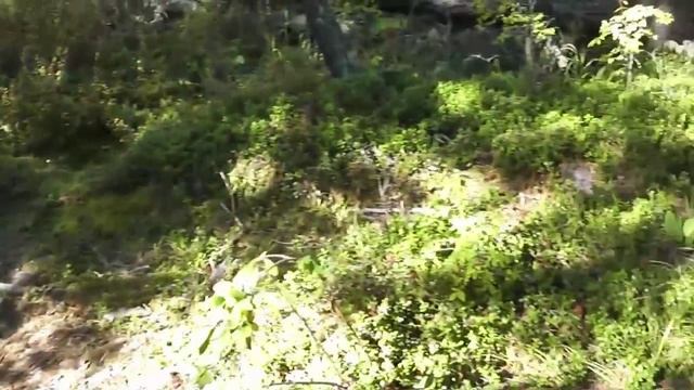 Катуньская подкова - 2016 (часть 4-я) смотреть онлайн