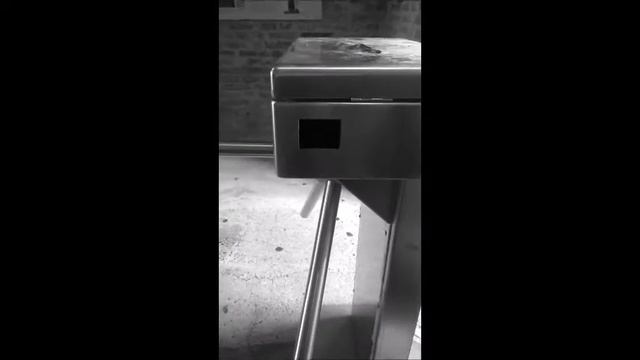 "Un grido d'amore dalla Torre" смотреть онлайн