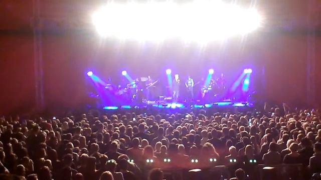 Adam Lambert - speach, Whataya Want From Me - TOH tour Berlin 29.4.2016 смотреть онлайн