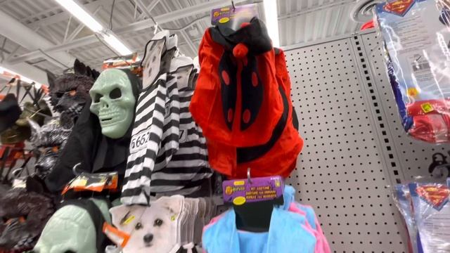 New Finds at Dollarama / Shop With Me смотреть онлайн