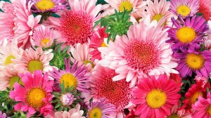 День Рождения !!! Натали