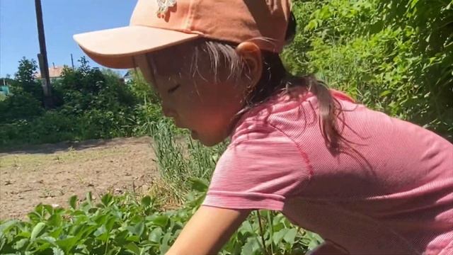 Видео балаларға казакша Кози мози like бүлдірген теру !!! клубника тереміз смотреть онлайн