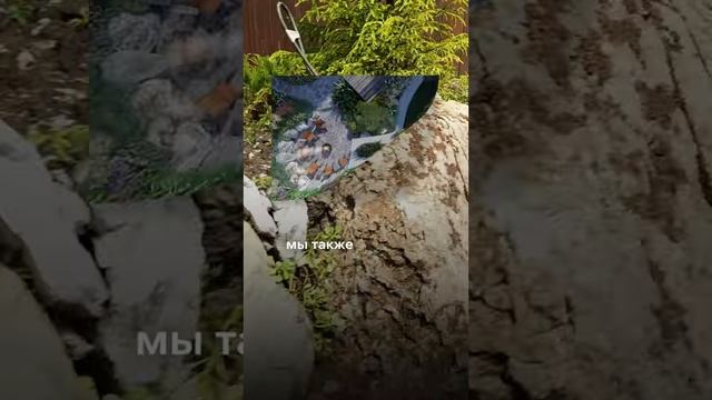 Природные камни для участка. Ландшафтный дизайн смотреть онлайн