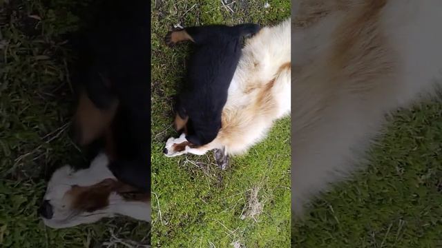 Первое занятие Яры по воде Яре 1.5 месяца смотреть онлайн