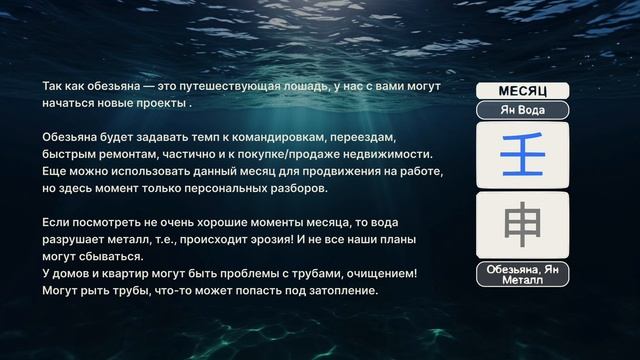 Август 2024 года в Бацзы смотреть онлайн